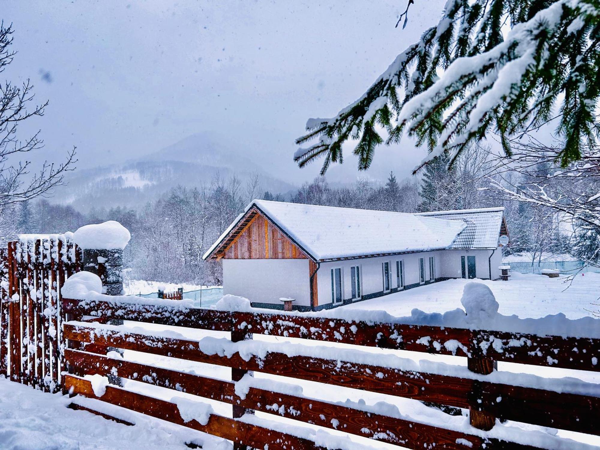 Hotel Casa Irinei Poiana Mărului Esterno foto